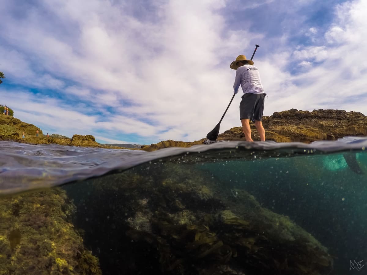 Discover the Tidepools